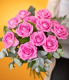 12 Pink Roses