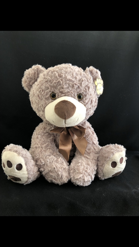 grey colour teddy