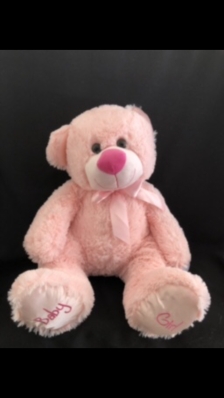Baby Pink teddy
